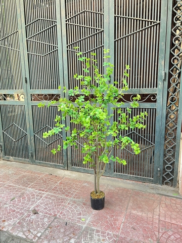 CÂY THẠCH NAM GIẢ 2 THÂN NHỰA HẰNG DECOR (1M52)