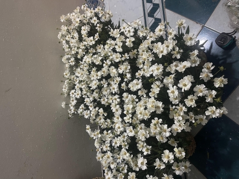 GIỎ HOA CÚC GIẢ TRANG TRÍ 40CM