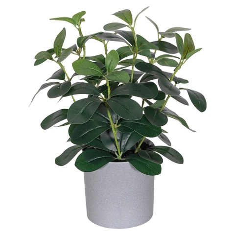 CHẬU CÂY NGŨ GIA BÌ GIẢ ĐẶT BÀN 30CM