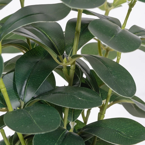 CHẬU CÂY NGŨ GIA BÌ GIẢ ĐẶT BÀN 30CM