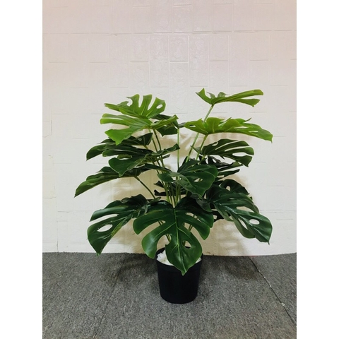CÂY LÁ RÙA GIẢ 70CM 18 LÁ HẰNG DECOR
