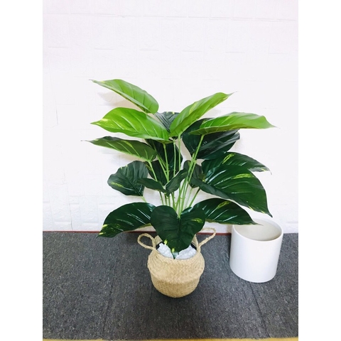 CÂY TRẦU BÀ GIẢ TRANG TRÍ CAO CẤP 70CM 18 LÁ HẰNG DECOR