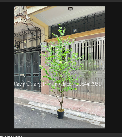 CÂY THẠCH NAM GIẢ THÂN NHỰA TRANG TRÍ (2M2, 2M5)