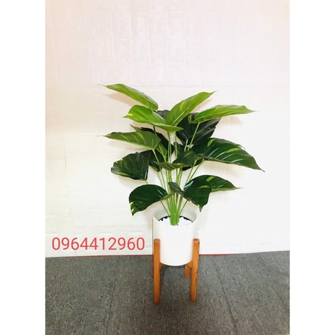 CÂY TRẦU BÀ GIẢ TRANG TRÍ CAO CẤP 70CM 18 LÁ HẰNG DECOR