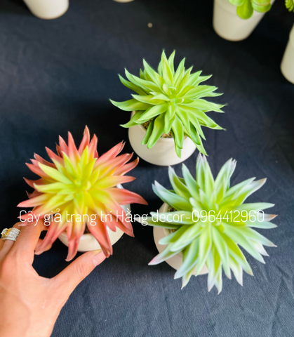 Chậu sen đá lá nhọn giả 15cm