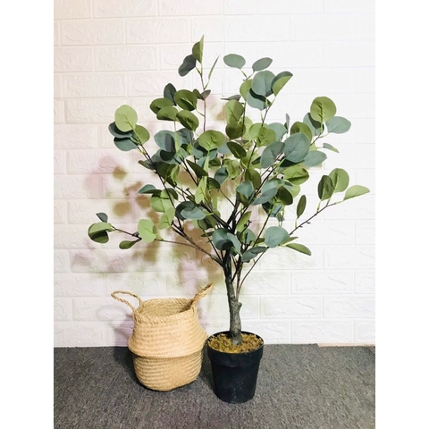 CÂY BẠCH ĐÀN GIẢ TRANG TRÍ NỘI THẤT HẰNG DECOR(85CM)