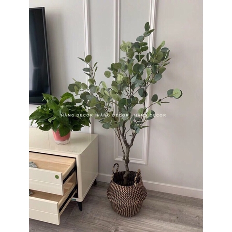CÂY BẠCH ĐÀN GIẢ TRANG TRÍ NỘI THẤT HẰNG DECOR( 130CM)