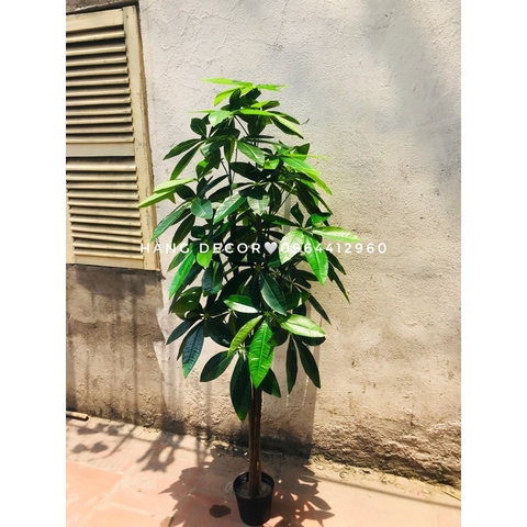 CÂY KIM NGÂN GIẢ TRANG TRÍ NHÀ ĐẸP HẰNG DECOR(1M5)