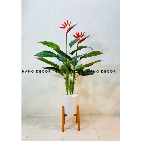 CÂY HOA THIÊN ĐIỂU 1M HẰNG DECOR