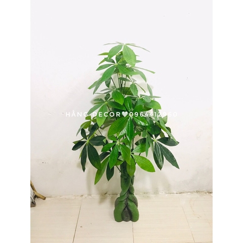 CÂY KIM NGÂN NHỰA TRANG TRÍ NỘI THẤT HẰNG DECOR 80CM