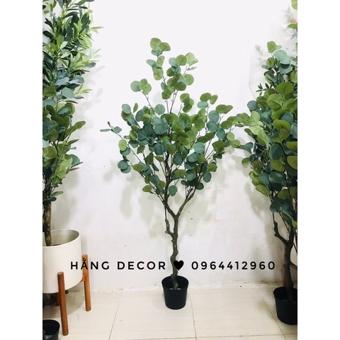 CÂY BẠCH ĐÀN GIẢ TRANG TRÍ NỘI THẤT HẰNG DECOR( 130CM)