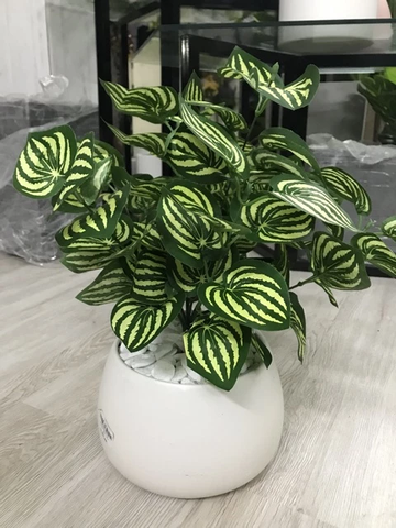 CHẬU CÂY SỌC DƯA HẤU GIẢ HẰNG DECOR (43CM)