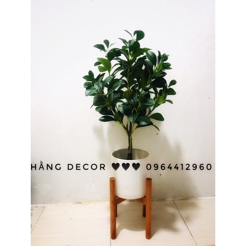 CÂY LÁ CHANH- CÂY XANH GIẢ TRANG TRÍ NHÀ HẰNG DECOR (85cm)
