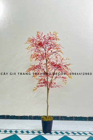 CÂY NAM THIÊN TRÚC GIẢ HẰNG DECOR 1m6