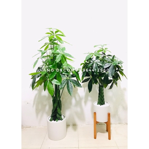 CÂY KIM NGÂN NHỰA TRANG TRÍ NỘI THẤT HẰNG DECOR 80CM