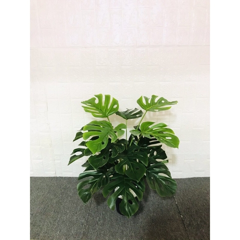 CÂY LÁ RÙA GIẢ 70CM 18 LÁ HẰNG DECOR