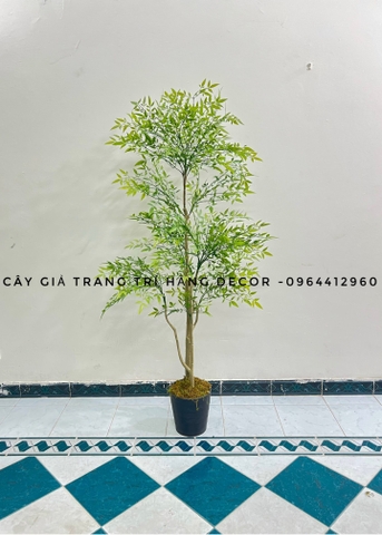 CÂY NAM THIÊN TRÚC GIẢ HẰNG DECOR 1m6