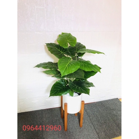 CÂY LÁ MÔN GIẢ TRANG TRÍ CAO CẤP 70CM 18 LÁ HẰNG DECOR