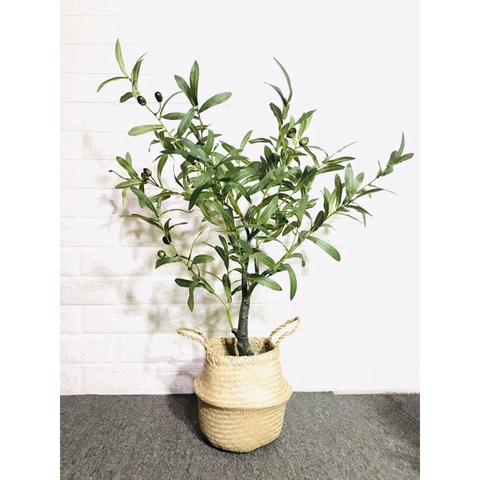 CÂY OLIU GIẢ TRANG HẰNG DECOR 85CM