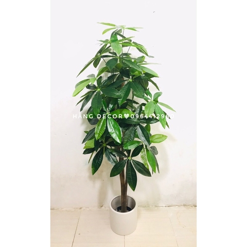 CÂY KIM NGÂN GIẢ TRANG TRÍ NHÀ ĐẸP HẰNG DECOR(1M5)