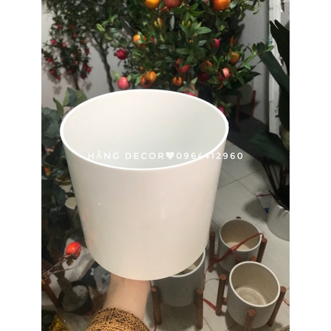 CHẬU NHỰA TRẮNG TRỒNG CÂY HẰNG DECOR (14cm,20cm,28cm)