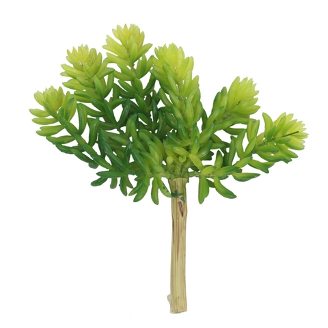 Cành sen đá tép bưởi giả 13cm