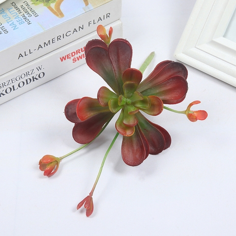 Cành sen đá hoa mầm cao 18cm