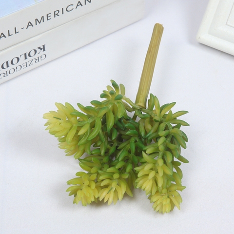 Cành sen đá tép bưởi giả 13cm