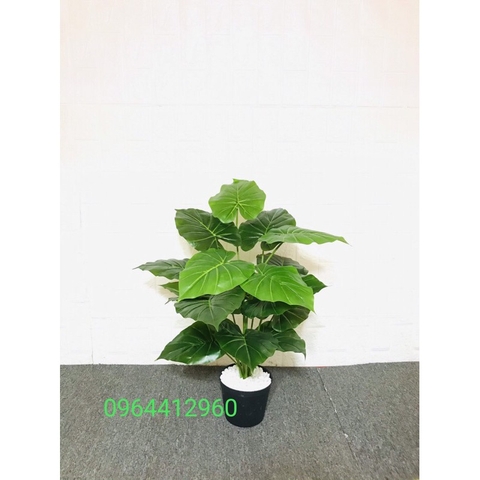CÂY LÁ MÔN GIẢ TRANG TRÍ CAO CẤP 70CM 18 LÁ HẰNG DECOR