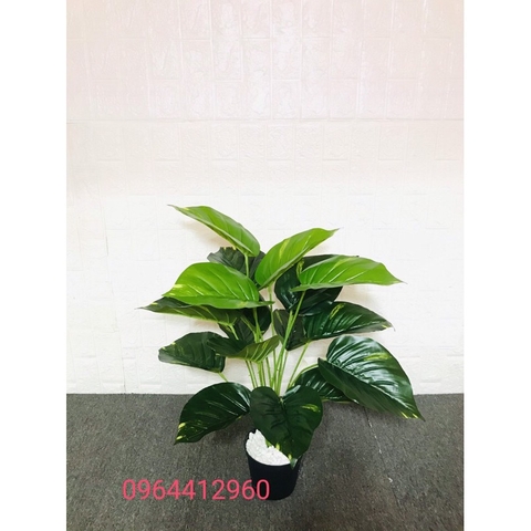 CÂY TRẦU BÀ GIẢ TRANG TRÍ CAO CẤP 70CM 18 LÁ HẰNG DECOR