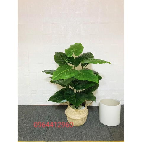CÂY LÁ MÔN GIẢ TRANG TRÍ CAO CẤP 70CM 18 LÁ HẰNG DECOR