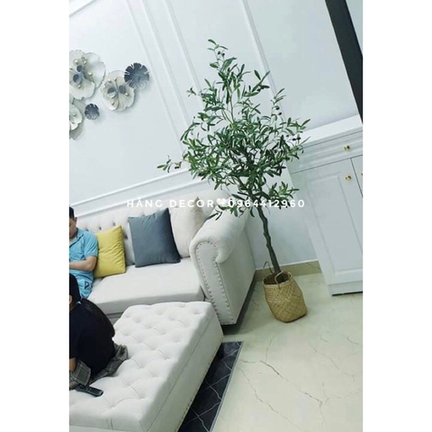 CÂY OLIU GIẢ TRANG TRÍ HẰNG DECOR 1M65