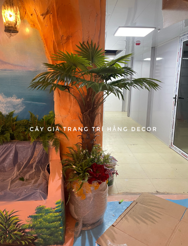 CHẬU CÂY CỌ THÂN TO 1M5 MIX TIỂU CẢNH VÀ CHẬU XI MĂNG GIỌT NƯỚC