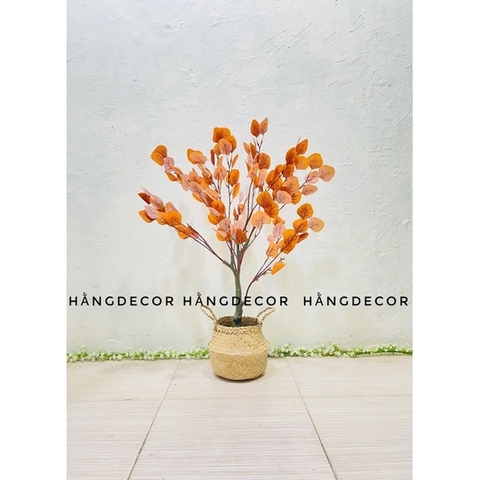 CÂY BẠCH ĐÀN LÁ VÀNG GIẢ HẰNG DECOR(85CM-1M3-1M6)