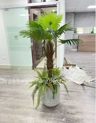 CHẬU CÂY CỌ THÂN TO 1M5 MIX TIỂU CẢNH VÀ CHẬU XI MĂNG GIỌT NƯỚC