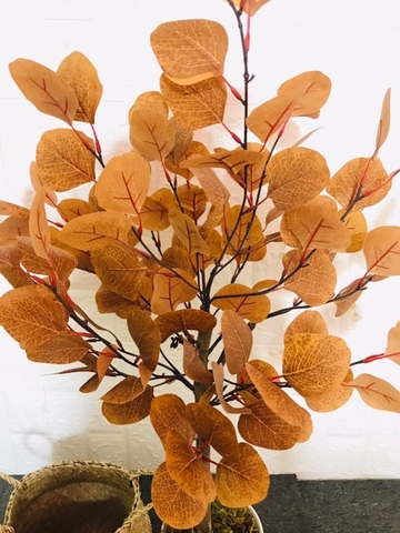 CÂY BẠCH ĐÀN LÁ VÀNG GIẢ HẰNG DECOR(85CM-1M3-1M6)