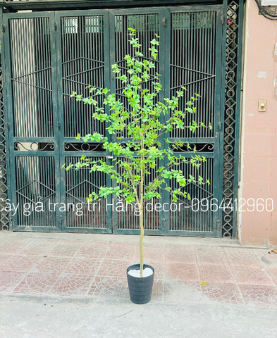 CÂY THẠCH NAM GIẢ HẰNG DECOR 1M7
