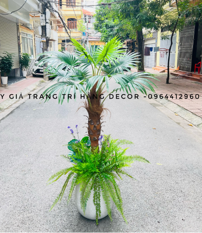 CHẬU CÂY CỌ THÂN TO 1M5 MIX TIỂU CẢNH VÀ CHẬU XI MĂNG GIỌT NƯỚC