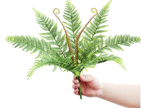 Cành dương sỉ rễ vòi giả 40cm