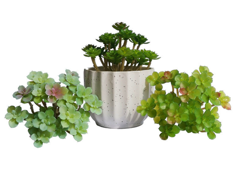 Cành Sen đá chùm giả cao 12cm x rộng 12cm