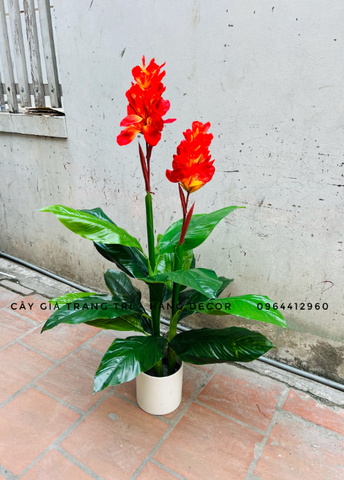 CÂY HOA DONG ĐỎ TRANG TRÍ HẰNG DECOR 1M2