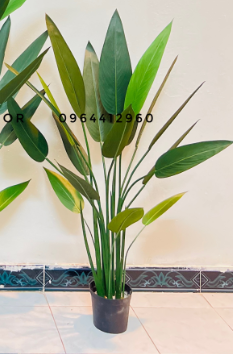 CÂY CHUỐI THIÊN ĐIỂU TRANG TRÍ HẰNG DECOR ( 1M1, 1M4, 1M6)