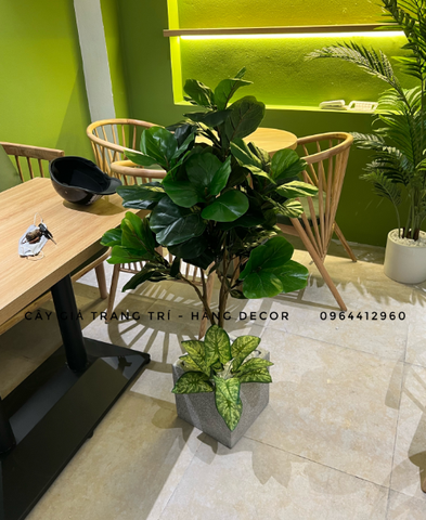 CÂY BÀNG SINGAPORE THÂN NHỰA 7 NHÁNH (1M1)