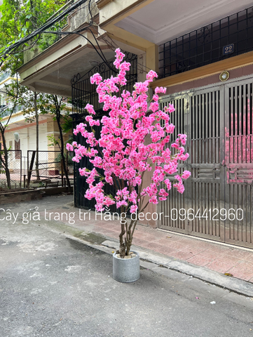 CÂY HOA ANH ĐÀO GIẢ TRANG TRÍ 2M5