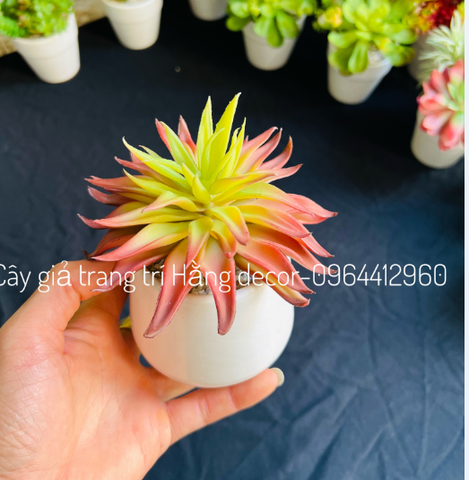 Chậu sen đá lá nhọn giả 15cm