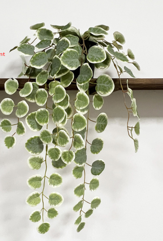 Cành rủ bạch đàn giả 47cm (hồng, xanh)