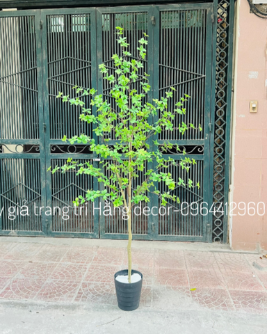 CÂY THẠCH NAM GIẢ HẰNG DECOR 1M7
