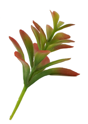 Cành sen đá mầm giả cao 15cm