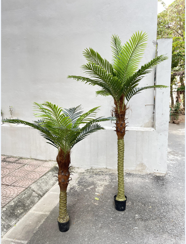 CÂY DỪA THÂN TO GIẢ HẰNG DECOR (1M5-2M)