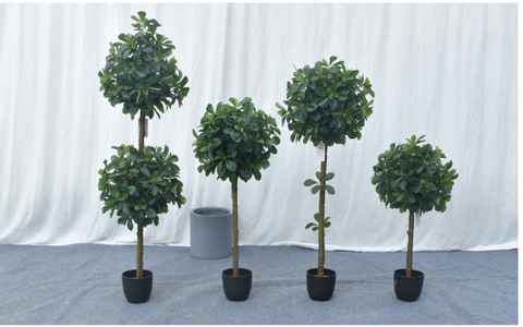 CÂY NGÂU GIẢ TRANG TRÍ HẰNG DECOR (80CM-1M-1M2)